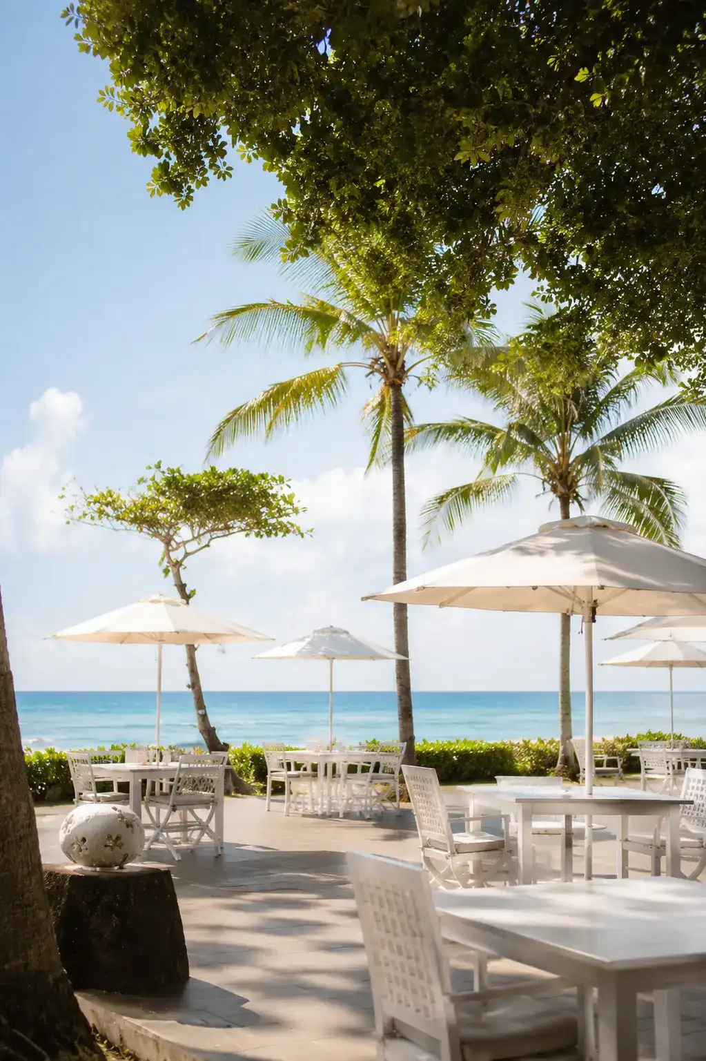 Relaxed Beachfront Lunch